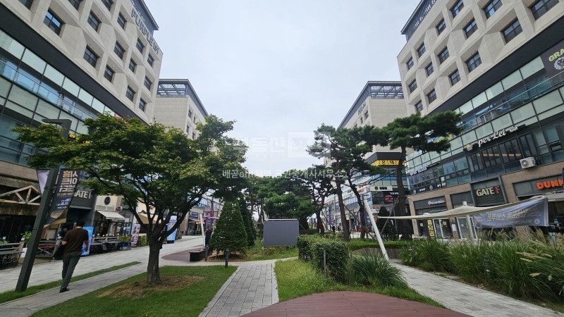 네모반듯하며 전면이 넓어 야장가능 대장주 아파트앞 사진 12